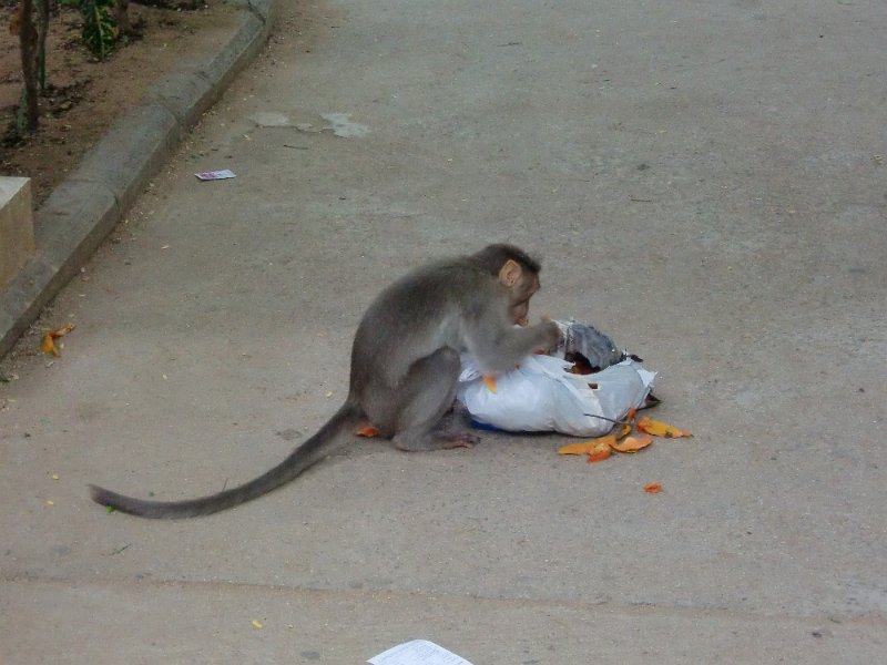 India Trip - July 2010 308.jpg